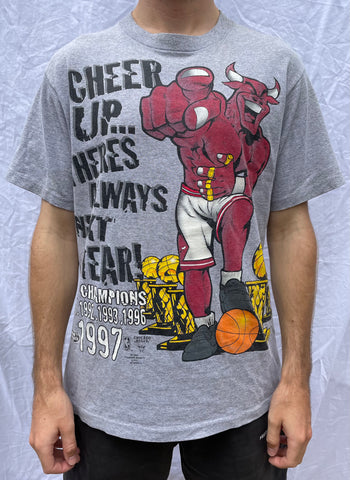 Vintage 1994 NBA Chicago Bulls Champions Gift T-Shirt